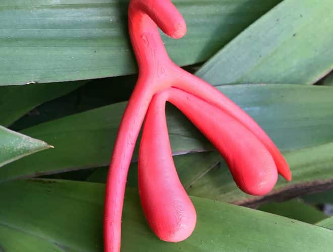 Clitóris: o que provavelmente não sabe sobre ele instituto penque